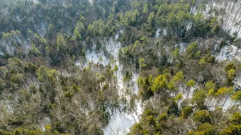 0 Fay Lane Hartford VT 05059