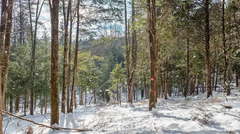 0 Fay Lane Hartford VT 05059