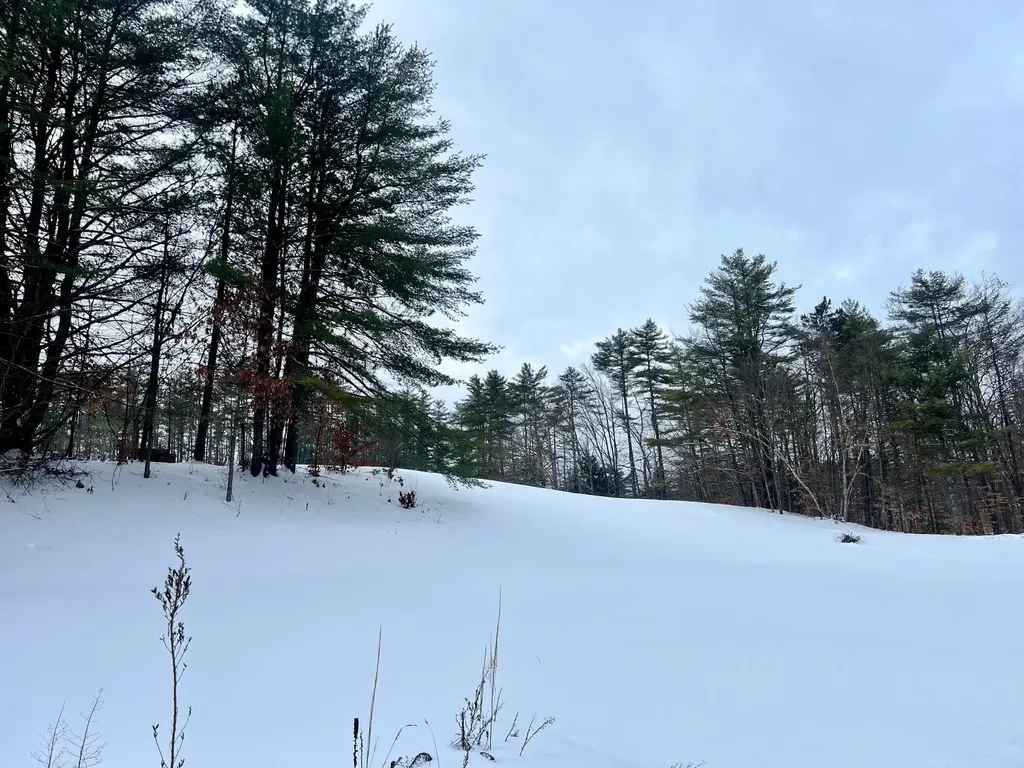 200 Walker Road Alexandria NH 03222