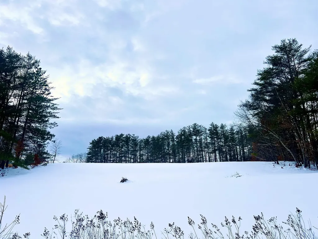 200 Walker Road Alexandria NH 03222