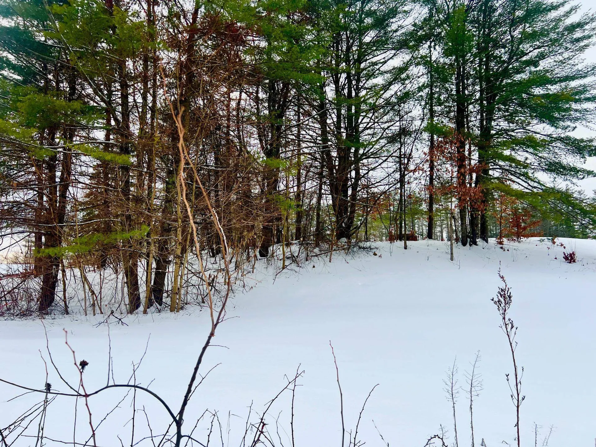 200 Walker Road Alexandria NH 03222