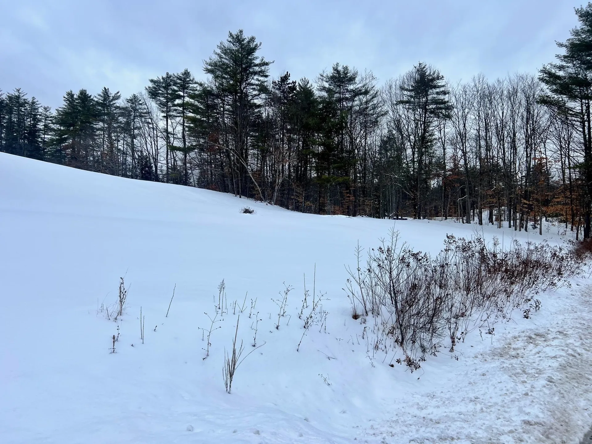 200 Walker Road Alexandria NH 03222