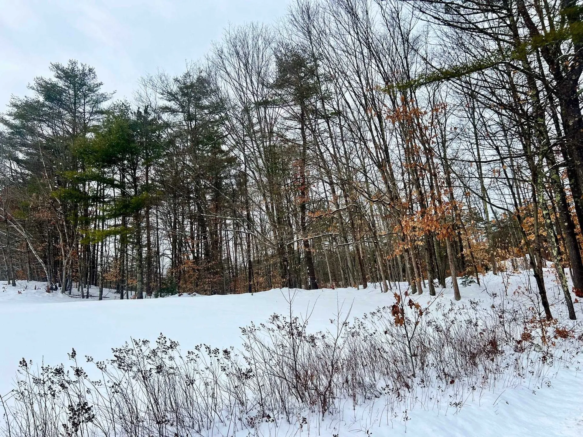 200 Walker Road Alexandria NH 03222