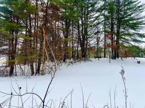 200 Walker Road Alexandria NH 03222