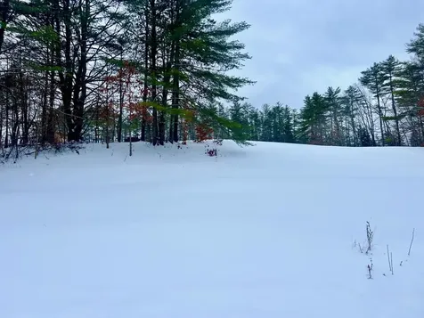 200 Walker Road Alexandria NH 03222