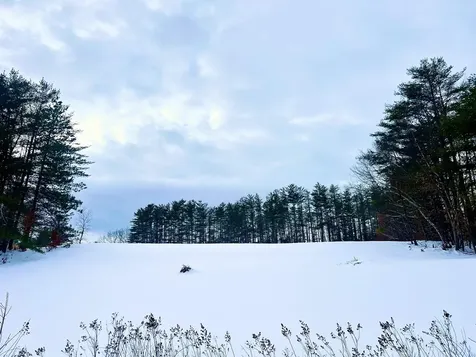 200 Walker Road Alexandria NH 03222