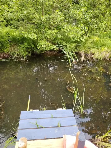 558 Lost Nation Road Lancaster NH 03584