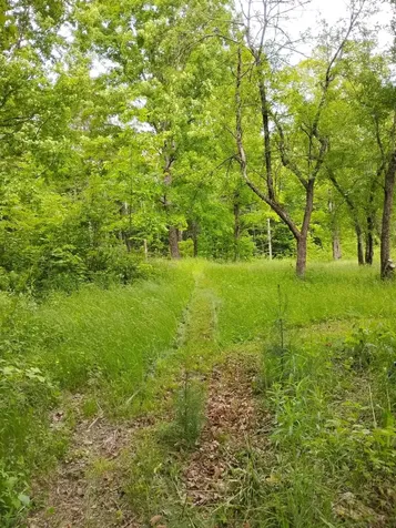 558 Lost Nation Road Lancaster NH 03584