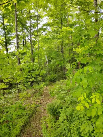 558 Lost Nation Road Lancaster NH 03584