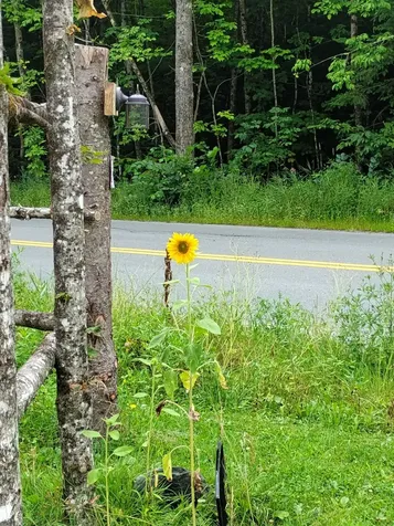 558 Lost Nation Road Lancaster NH 03584