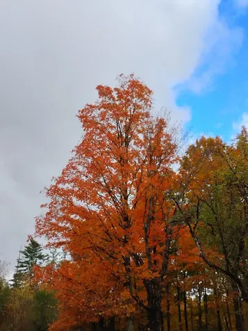 558 Lost Nation Road Lancaster NH 03584