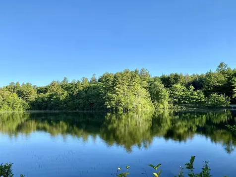 Main Street Springfield NH 03284