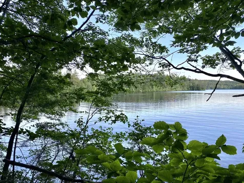 Main Street Springfield NH 03284