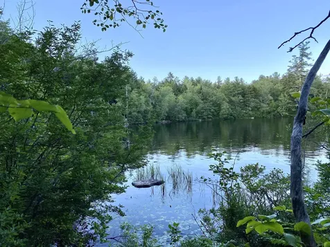 Main Street Springfield NH 03284