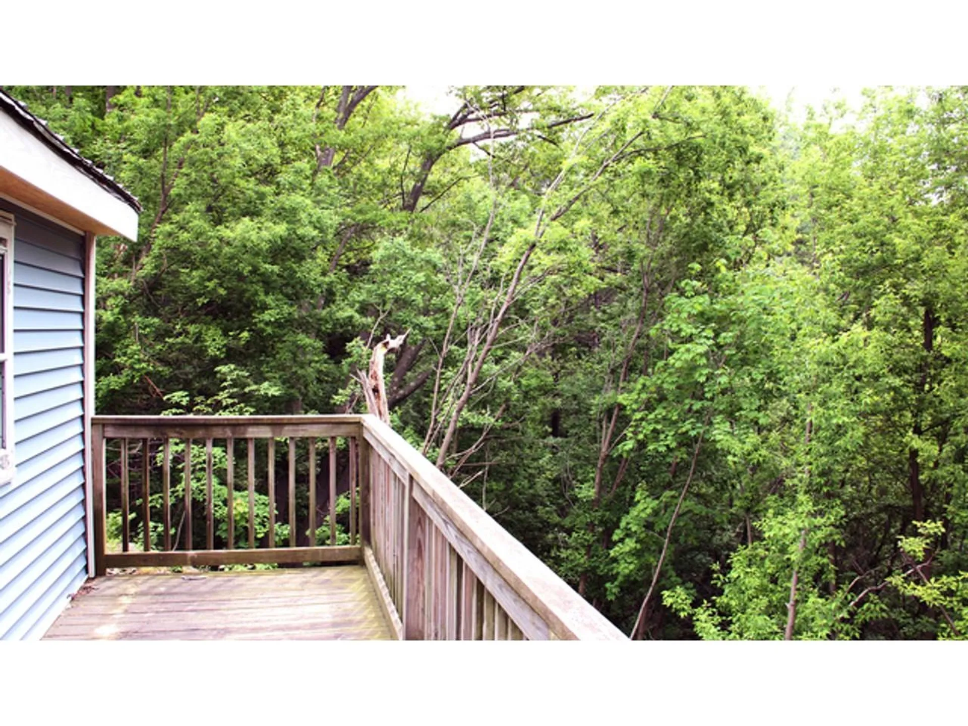 406 Colchester Avenue Burlington VT 05401