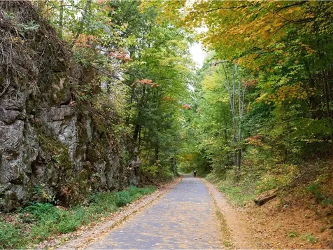 406 Colchester Avenue Burlington VT 05401