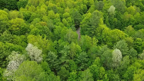 Lot 48 Sugar Hill Road Underhill VT 05489