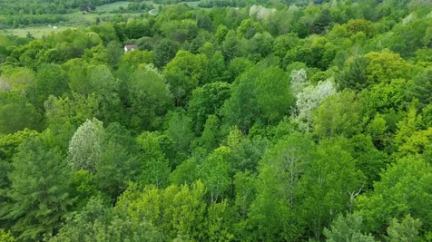 Lot 48 Sugar Hill Road Underhill VT 05489