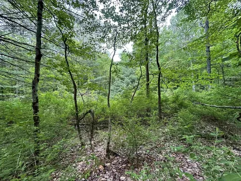 Lot 48 Sugar Hill Road Underhill VT 05489