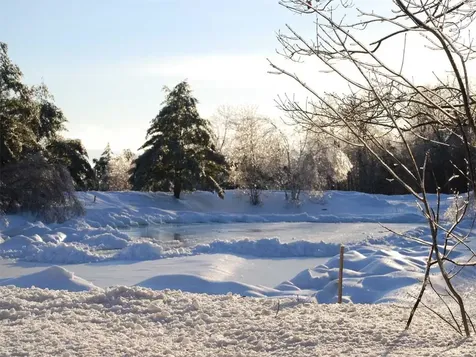 516 Steele Hill Road Sanbornton NH 03269