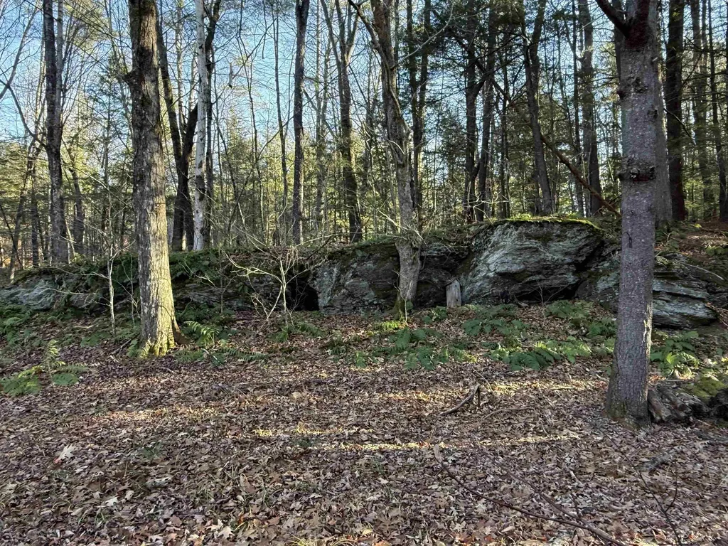 662 Vt Route 30 Newfane VT 05345