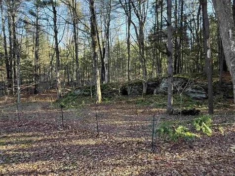 662 Vt Route 30 Newfane VT 05345