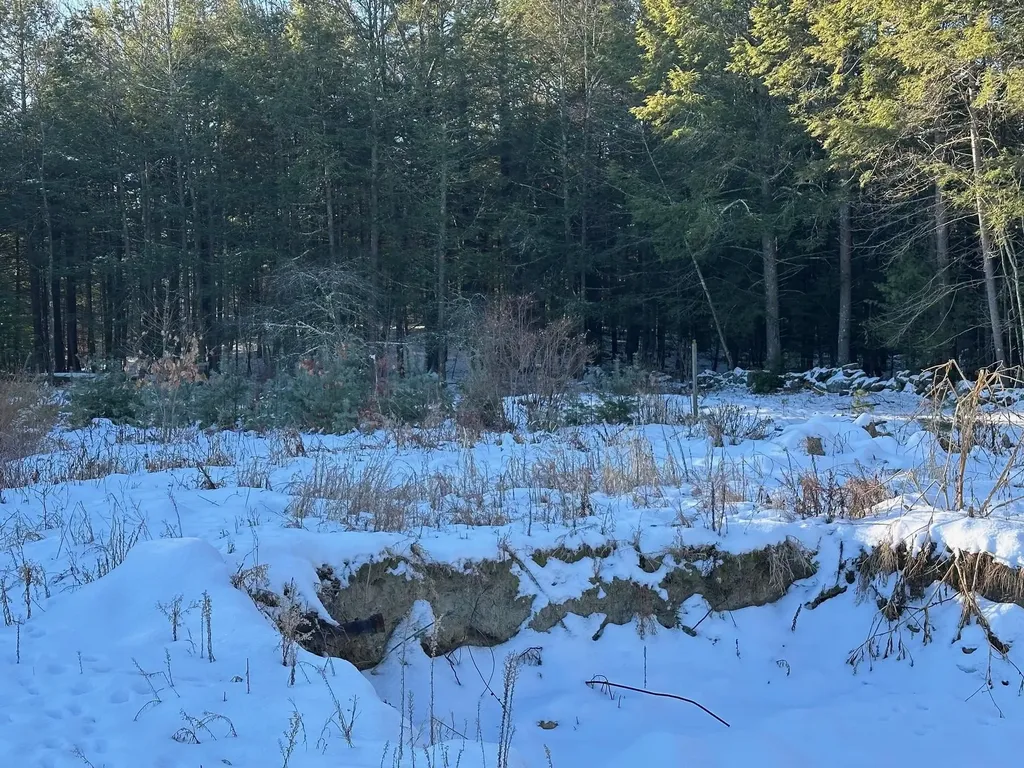 95 Winch Hill Road Swanzey NH 03446