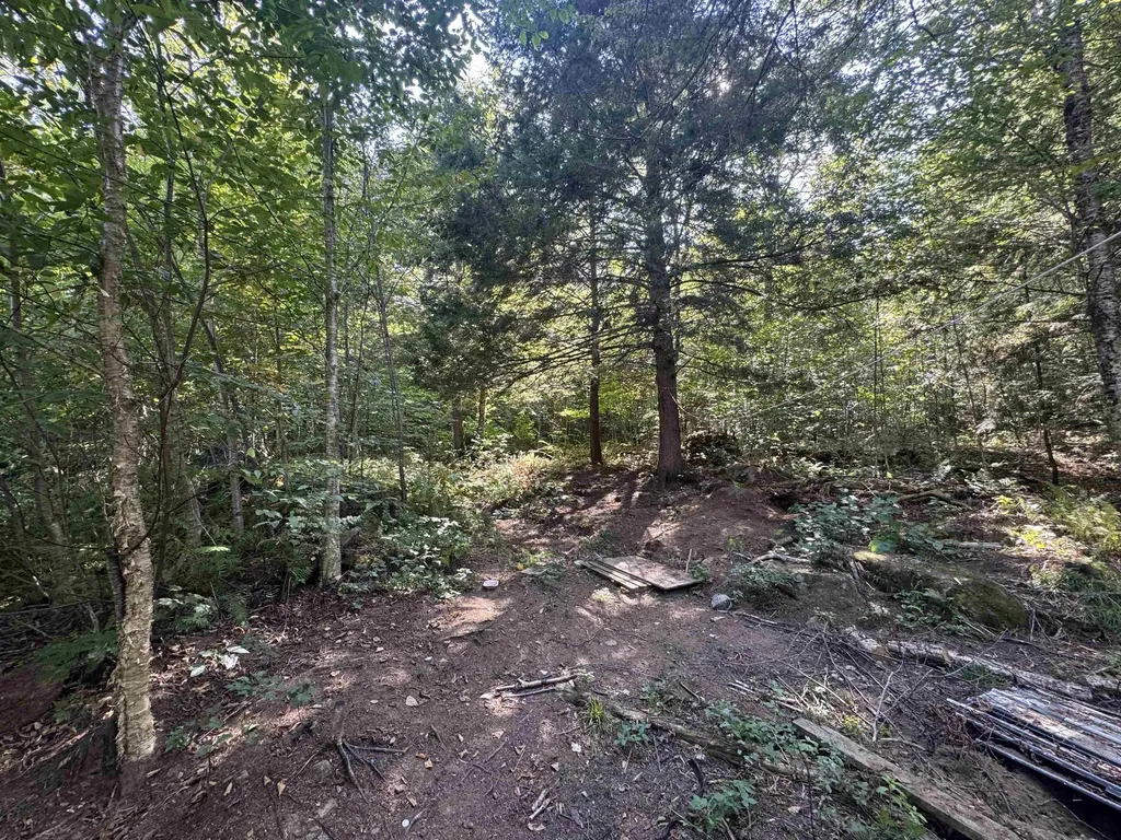 25 Simmons Drive Warren NH 03279