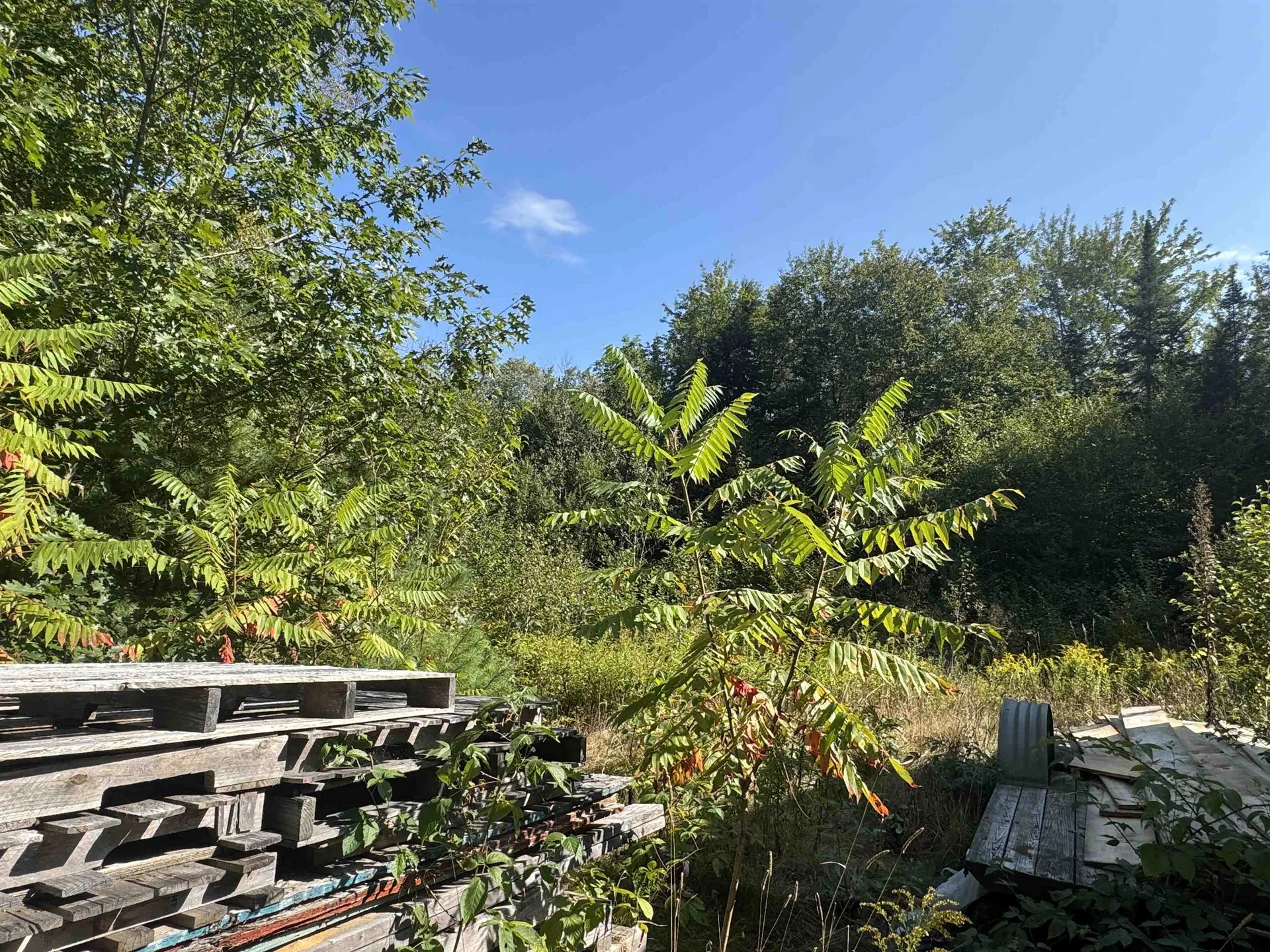 25 Simmons Drive Warren NH 03279