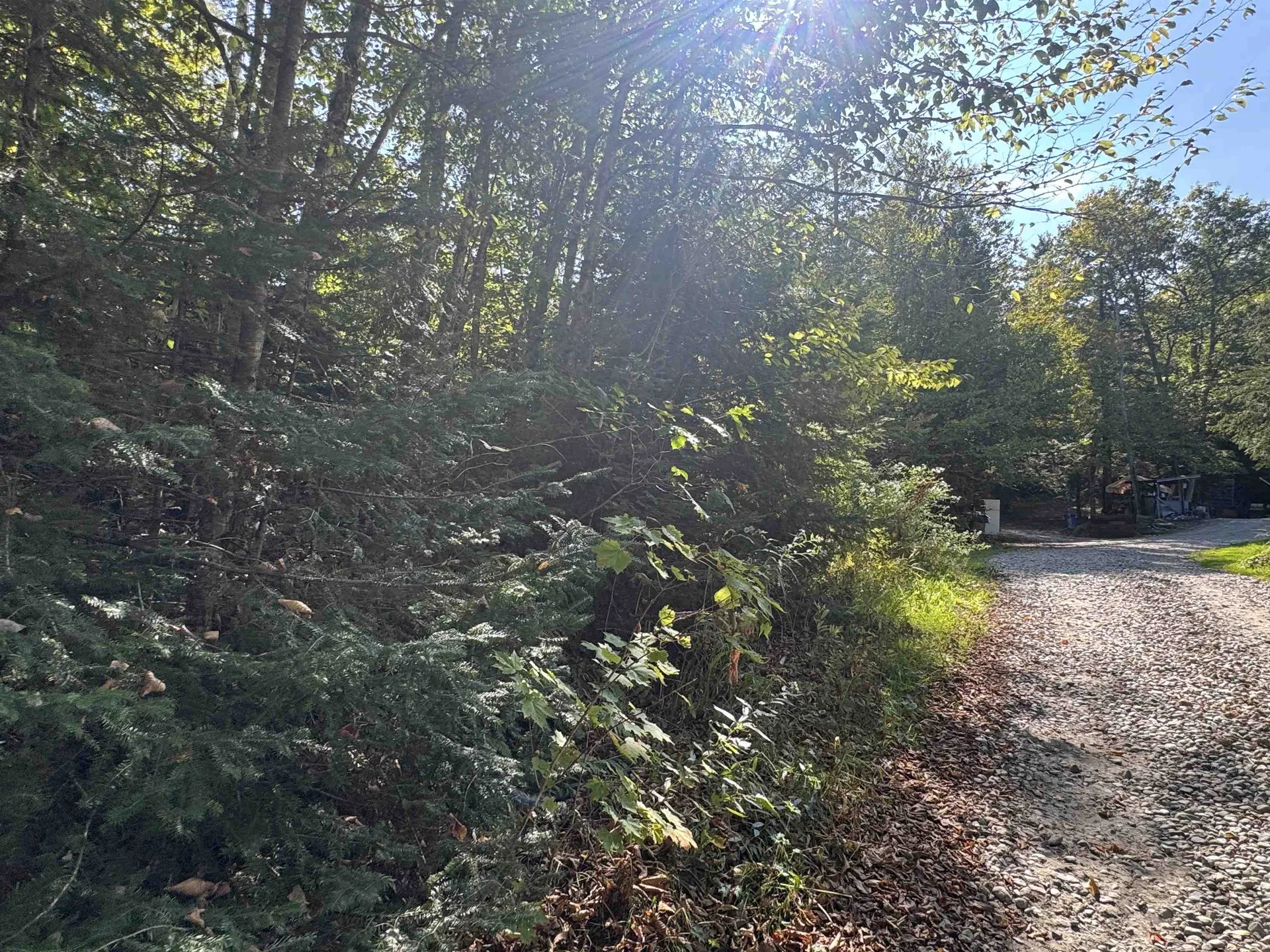 25 Simmons Drive Warren NH 03279