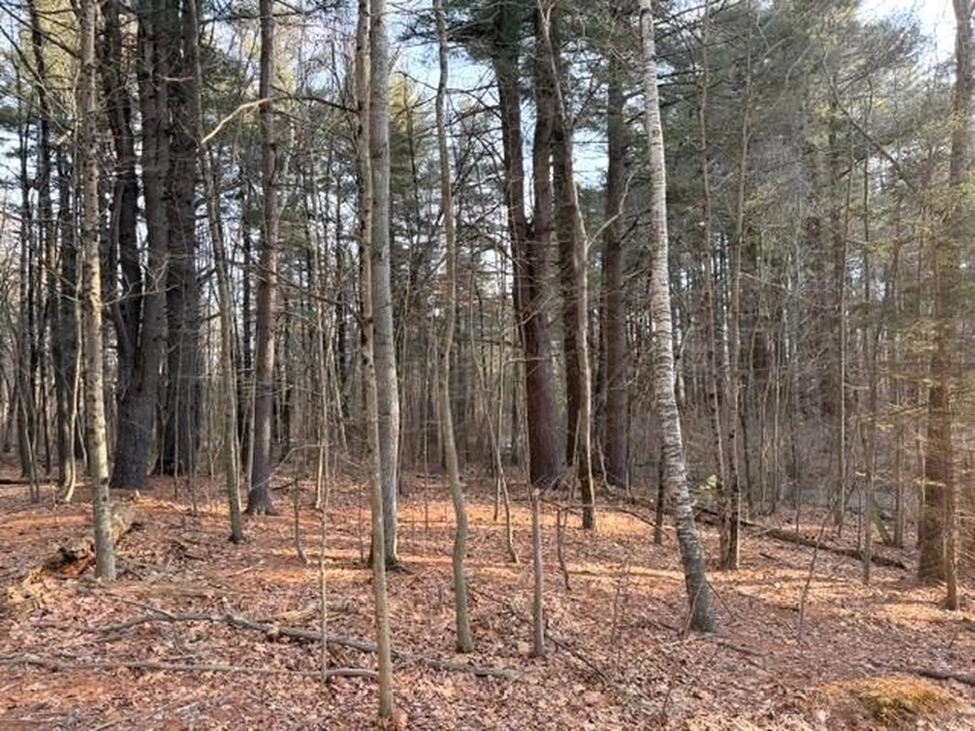 41 Main Street Plaistow NH 03865