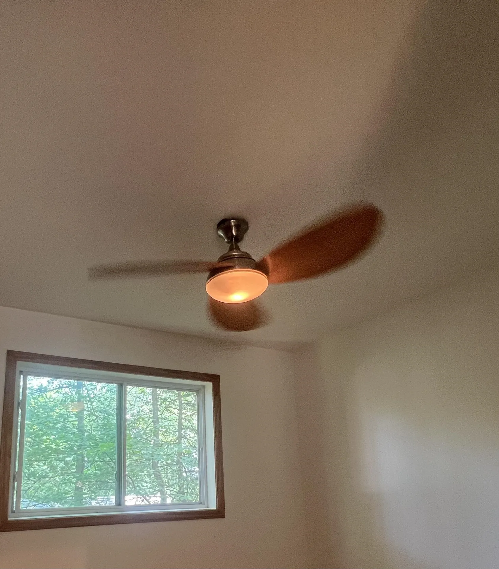 12 Cornwall Place Farmington NH 03835