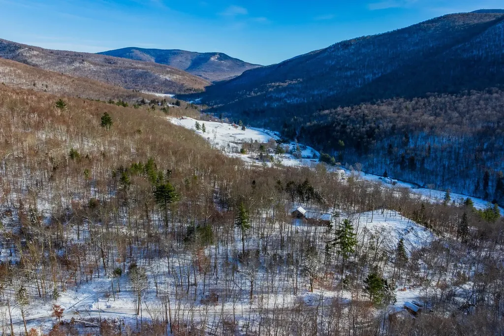 276 Wilcox Hollow Road Sandgate VT 05250