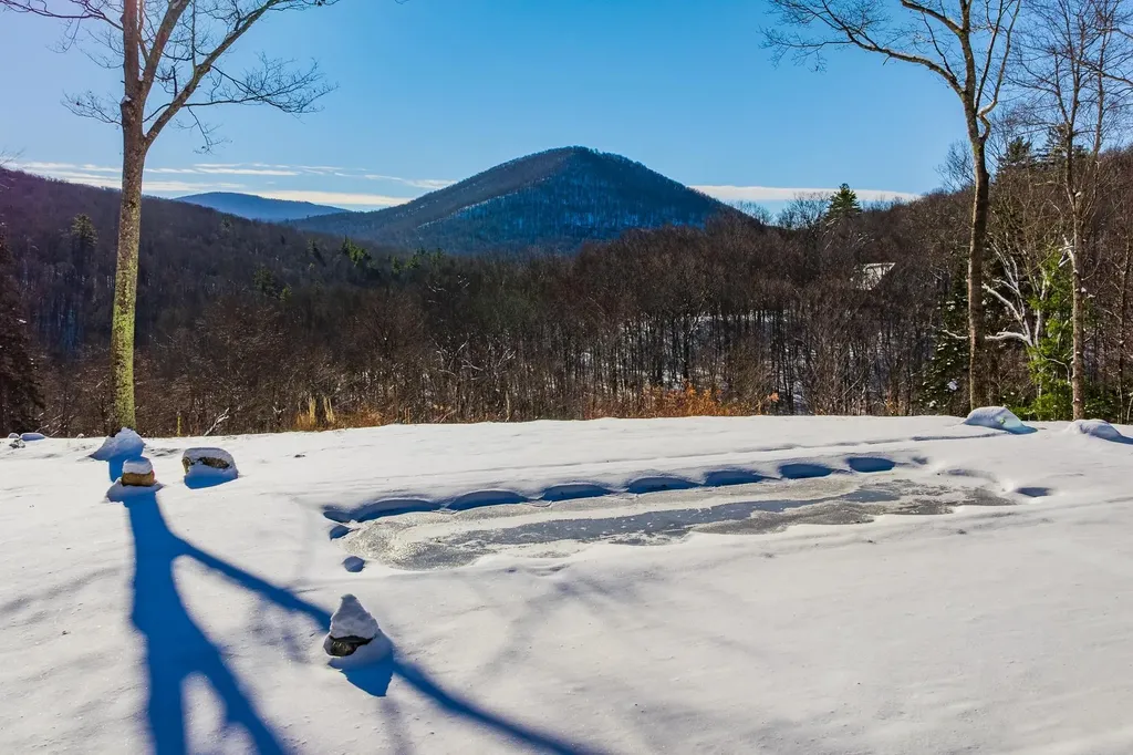 276 Wilcox Hollow Road Sandgate VT 05250