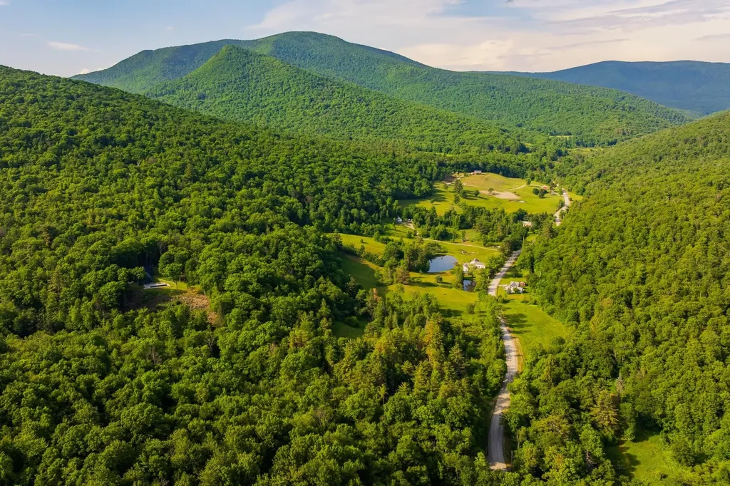 276 Wilcox Hollow Road Sandgate VT 05250