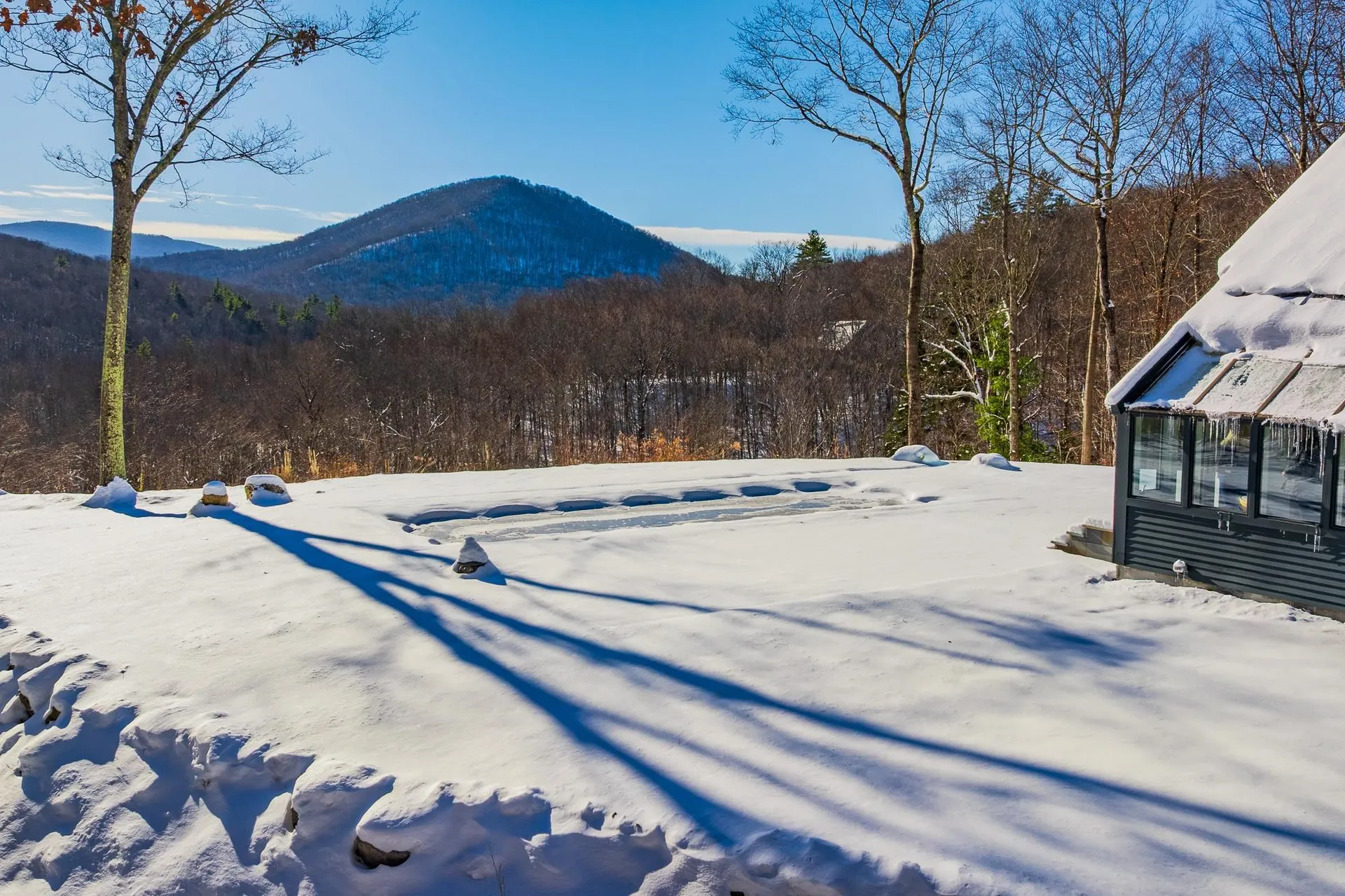 276 Wilcox Hollow Road Sandgate VT 05250