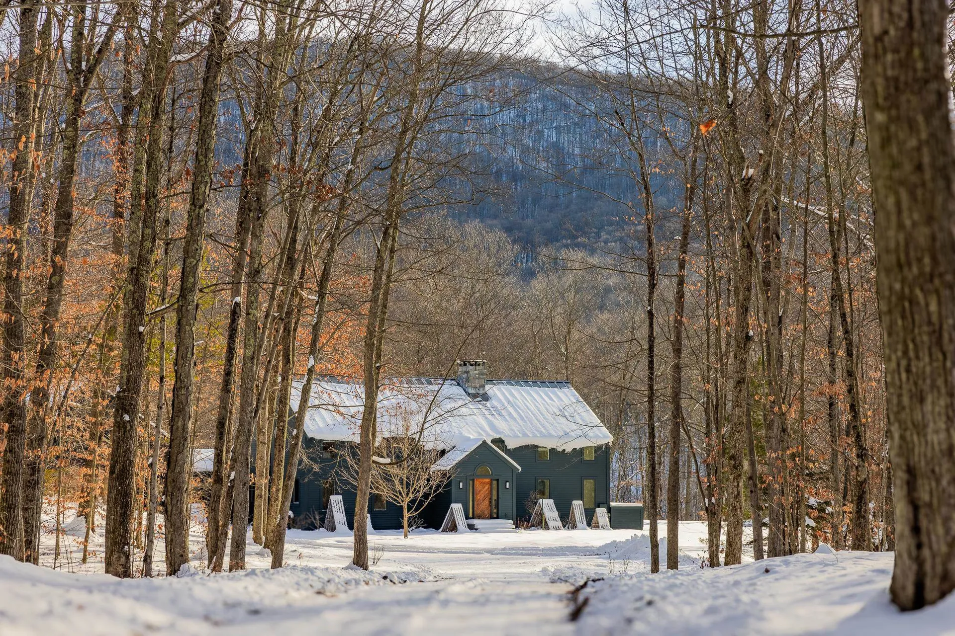 276 Wilcox Hollow Road Sandgate VT 05250