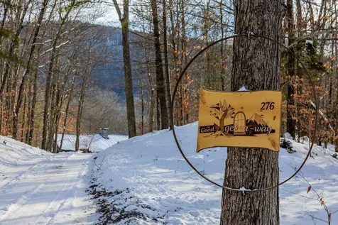 276 Wilcox Hollow Road Sandgate VT 05250