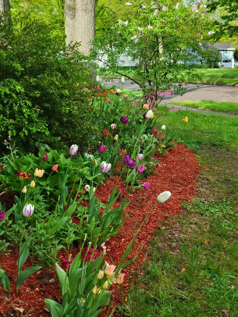 104 Lakewood Parkway Burlington VT 05408