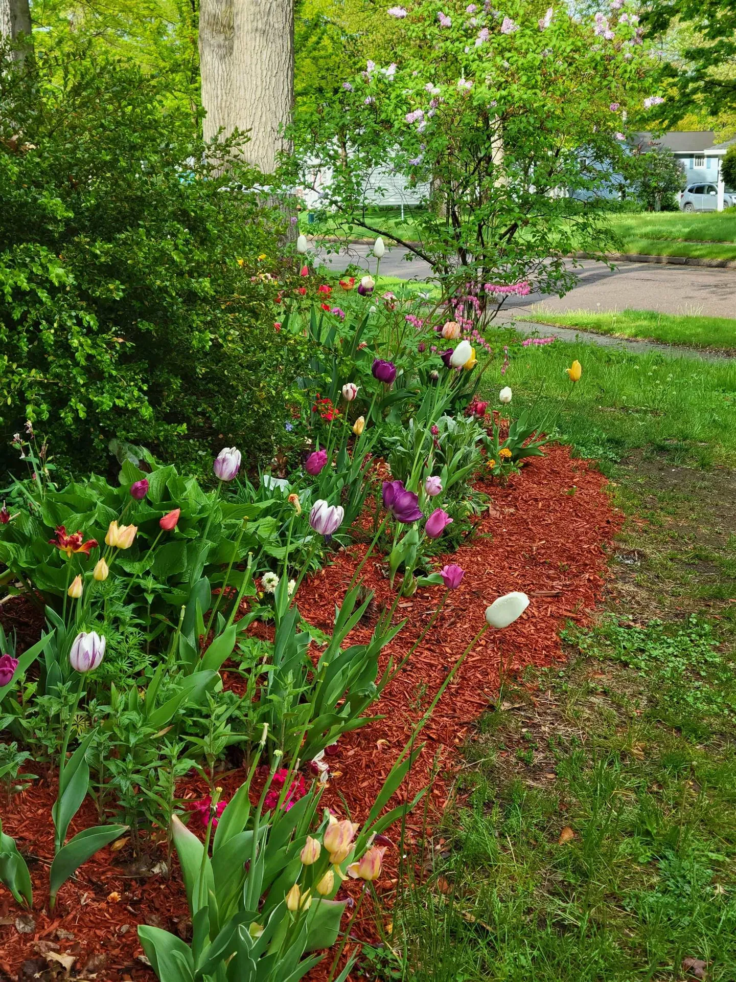 104 Lakewood Parkway Burlington VT 05408