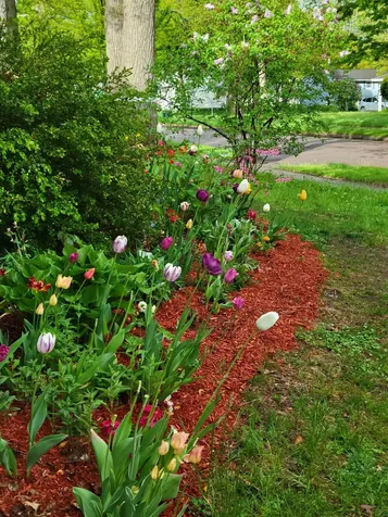 104 Lakewood Parkway Burlington VT 05408