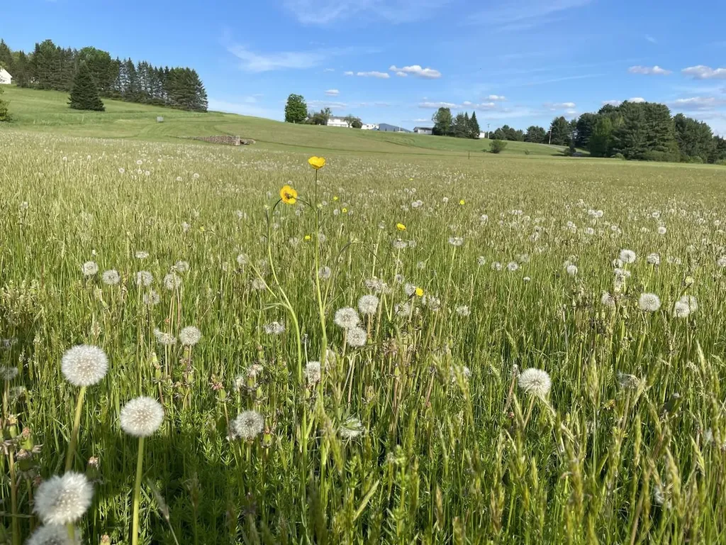 0 L Brown Drive East Montpelier VT 05602