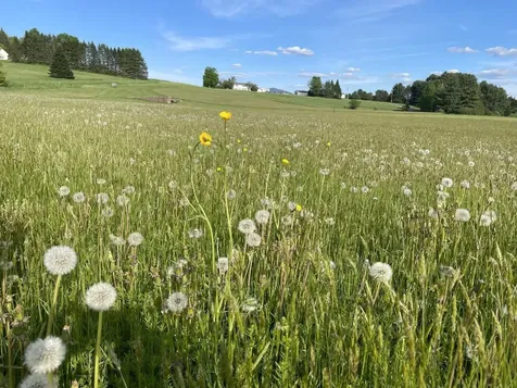 0 L Brown Drive East Montpelier VT 05602