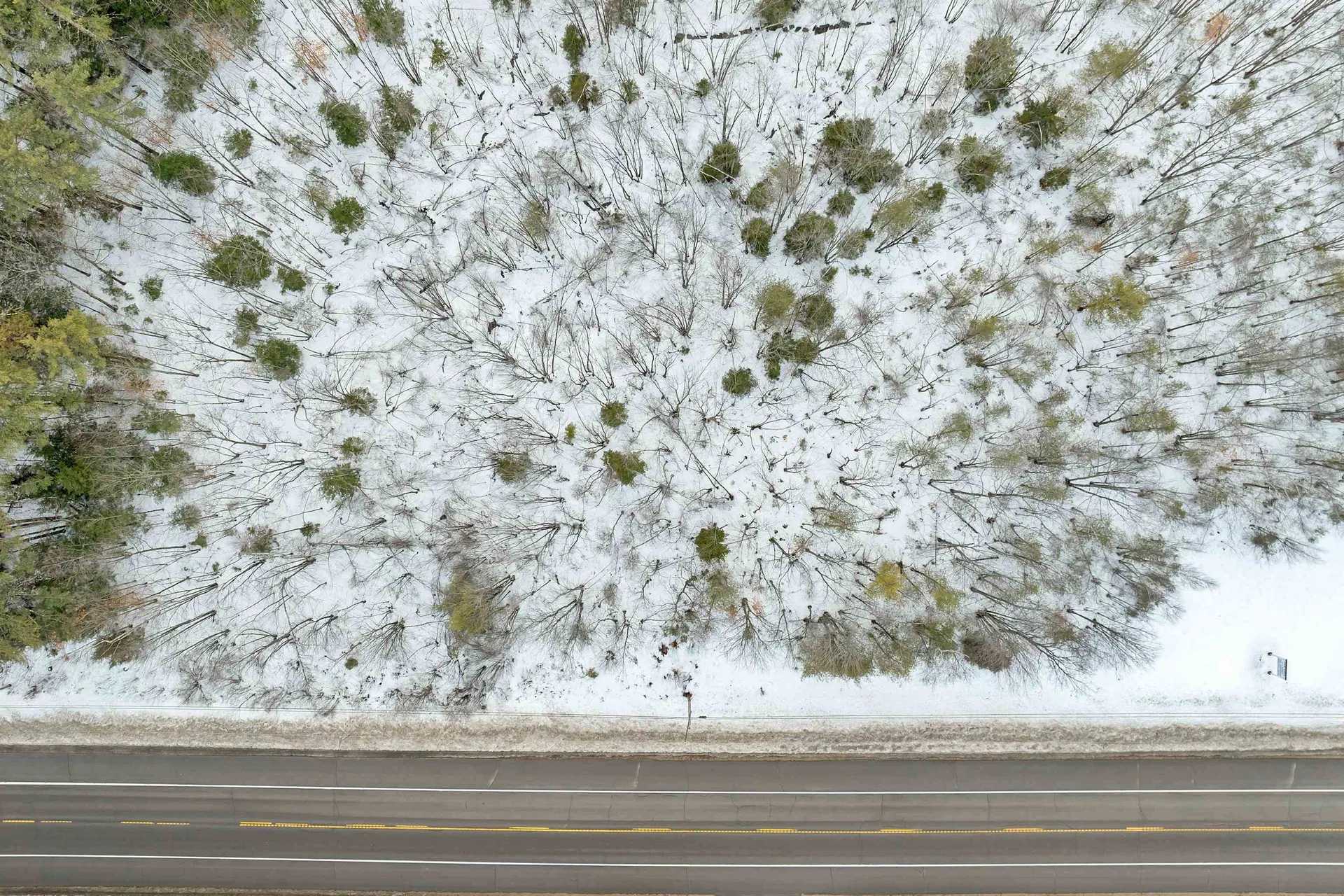 829 Route 16 Ossipee NH 03896