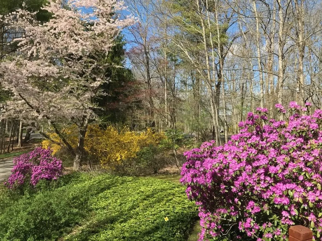 11 Willey Creek Road Durham NH 03824