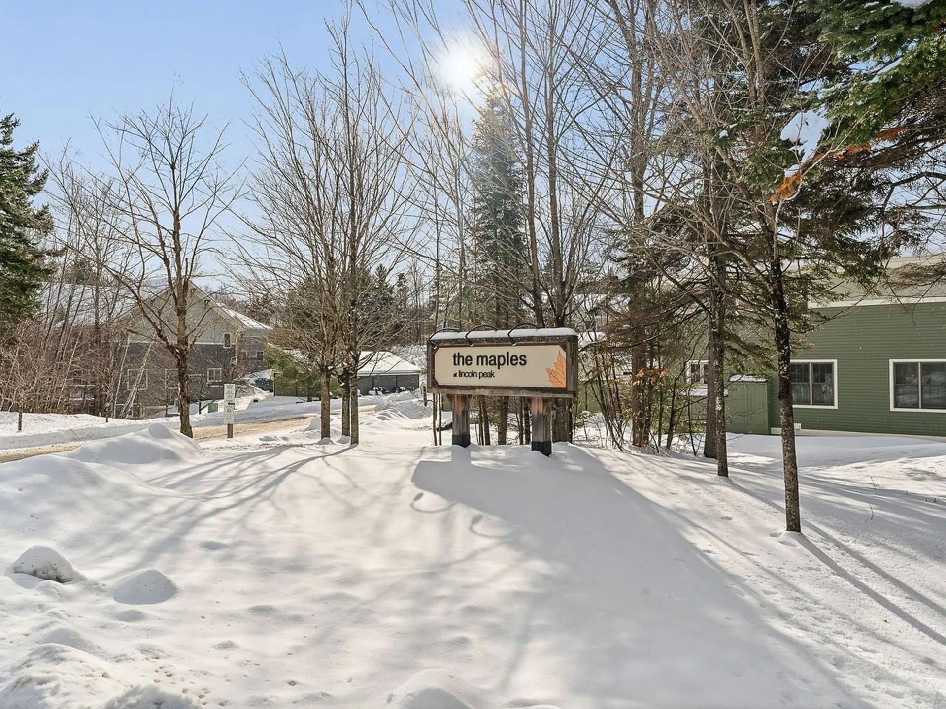 53 Amber Way Warren VT 05674