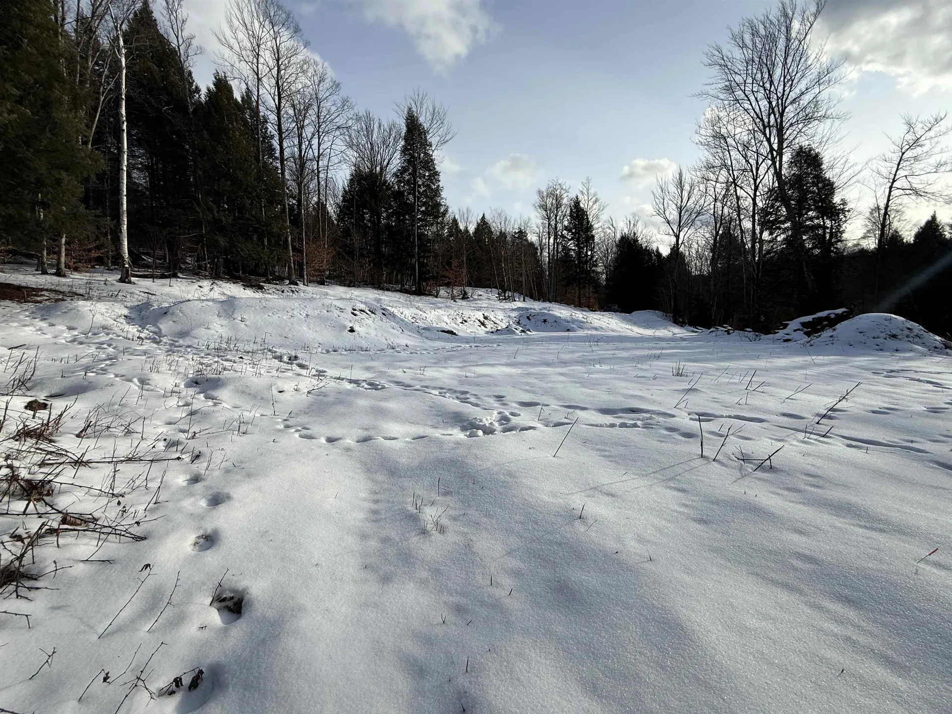 109 Highland Drive Warren VT 05674