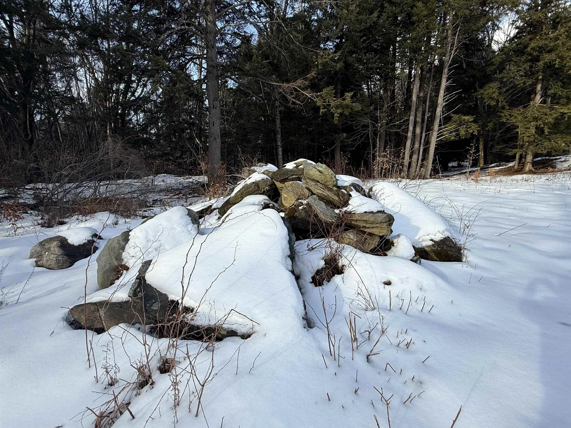 109 Highland Drive Warren VT 05674