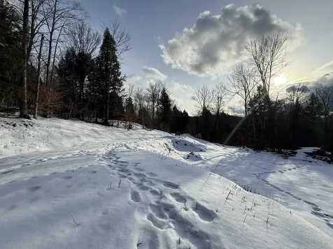 109 Highland Drive Warren VT 05674