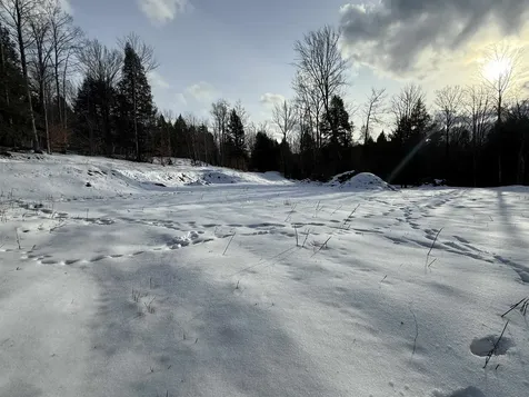 109 Highland Drive Warren VT 05674